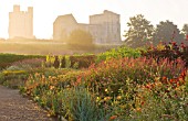 HELMSLEY WALLED GARDEN  YORKSHIRE: HELMSLEY CASTLE SEEN AT DAWN WITH HERBACEOUS BORDER IN THE FORGROUND
