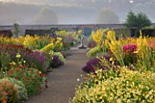 HELMSLEY WALLED GARDEN  YORKSHIRE: THE HERBACEOUS BORDER IN JULY DOMINATED BY VERBASCUMS AND MONARDAS