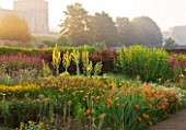 HELMSLEY WALLED GARDEN  YORKSHIRE: THE HERBACEOUS BORDER IN JULY AT DAWN DOMINATED BY VERBASCUMSAND CROCOSMIA WITH THE CASTLE IN THE BACKGROUND