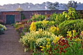 HELMSLEY WALLED GARDEN  YORKSHIRE: THE HERBACEOUS BORDER IN JULY DOMINATED BY VERBASCUMS  HELENIUMS AND ANTHEMIS