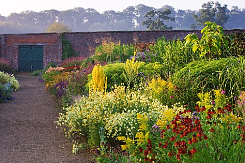 HELMSLEY_WALLED_GARDEN__YORKSHIRE_THE_HERBACEOUS_BORDER_IN_JULY_DOMINATED_BY_VERBASCUMS__HELENIUMS_A