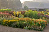 HELMSLEY WALLED GARDEN  YORKSHIRE: THE HERBACEOUS BORDER IN JULY DOMINATED BY VERBASCUMS  CROCOSMIA  HEMEROCALLIS