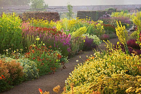 HELMSLEY_WALLED_GARDEN__YORKSHIRE_THE_HERBACEOUS_BORDER_IN_JULY_DOMINATED_BY_VERBASCUMS__GALLARDIAS_