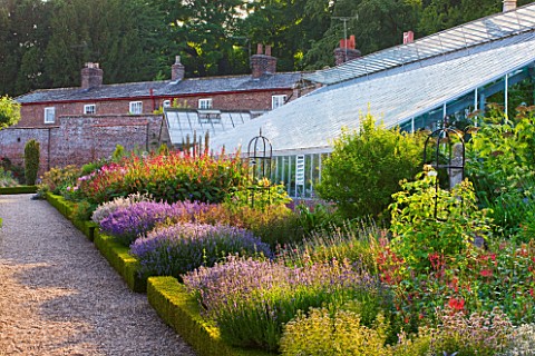 SLEDMERE_HOUSE_GARDEN_YORKSHIRE_BORDER_BESIDE_THE_GREENHOUSE_IN_THE_WALLED_GARDEN__SUNSET_PERENNIALS