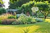 SLEDMERE HOUSE GARDEN, YORKSHIRE: BORDER BESIDE LAWN IN THE WALLED GARDEN - COUNTRY GARDEN, CLASSIC, PERENNIALS, GRASS, SUMMER, TRADITIONAL, AUGUST, LATE SUMMER