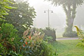 GLYNDEBOURNE, EAST SUSSEX: RED HOT POKERS - KNIPHOFIA - IN THE BOURNE GARDEN - MIST, FOG