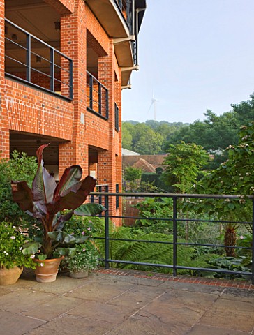 GLYNDEBOURNE_EAST_SUSSEX_TERRACE_AND_TERRACOTTA_CONTAINER_PLANTED_WITH_CANNAS_BESIDE_THE_OPERA_HOUSE