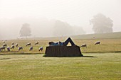 GLYNDEBOURNE, EAST SUSSEX: THE MAIN LAWN IN MIST WITH SCULPTURE IN BRONZE AND COR - TEN STEEL BY SEAN  HENRY. SHEEP BEYOND HA- HA