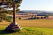 KILLERTON, DEVON: THE NATIONAL TRUST: VIEW OF PARKLAND FROM THE WOODLAND. BORROWED, LANDSCAPE