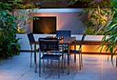 FULHAM GARDEN DESIGNED BY AMIR SCHLEZINGER - MY LANDSCAPES: MINIMALIST GARDEN LIT UP AT NIGHT -  EDGEWORTHIA CHRYSANTHA  ACER ACONITIFOLIUM  TABLE AND CHAIRS  PATIO