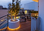 ZIGGURAT ROOF GARDEN BY AMIR SCHLEZINGER  MY LANDSCAPES: LIGHTING -CONTAINERS LIT UP AT NIGHT PLANTED WITH BETULA ALBOSINENSIS FASCINATION AND LIBERTIA IXIOIDES GOLDFINGER