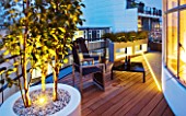 ZIGGURAT ROOF GARDEN BY AMIR SCHLEZINGER  MY LANDSCAPES: LIGHTING - CONTAINERS LIT UP AT NIGHT PLANTED WITH BETULA ALBOSINENSIS FASCINATION . TABLE AND DECK CHAIRS