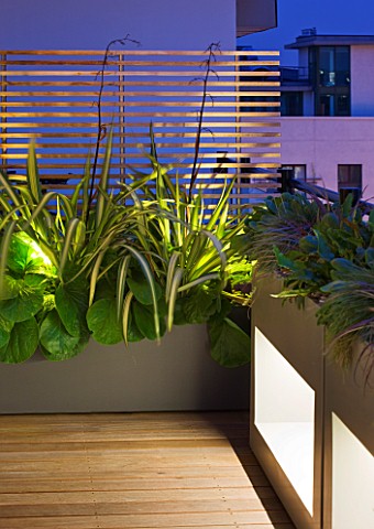 ZIGGURAT_ROOF_GARDEN_BY_AMIR_SCHLEZINGER__MY_LANDSCAPES_LIGHTING_CONTAINERS_PLANTED_WITH_ASPLENIUM_S