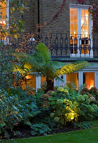 NOTTING_HILL_HOUSE_LONDON_GARDEN_DESIGN_BY_BUTTER_WAKEFIELD_LIGHTING_ON_BORDER_WITH_TREE_FERNS_AND_H