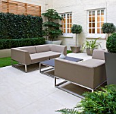 BASEMENT GARDEN MONTAGUE SQUARE  LONDON  DESIGNED BY AMIR SCHLEZINGER OF MY LANDSCAPES: BASEMENT GARDEN WITH TABLE AND CHAIRS  TROCHODENDRON ARALIODES  SCREEN OF HEDERA WOERNER