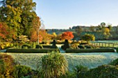 PETTIFERS GARDEN  OXFORDSHIRE  IN AUTUMN: PARTERRE WITH CLIPPED BOX AND YEW AND SORBUS JOSEPH ROCK