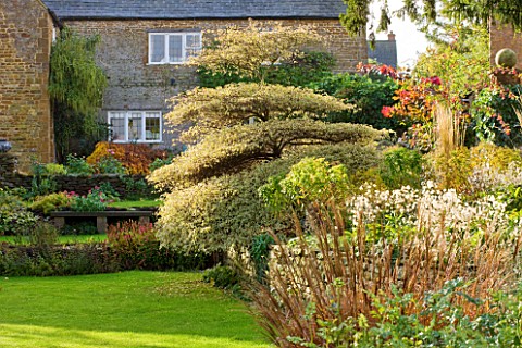 PETTIFERS_GARDEN__OXFORDSHIRE__IN_AUTUMN_VIEW_TO_HOUSE_WITH_MISCANTHUS_SINENSIS_NIPPON_AND_CORNUS_AL