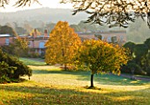 KILLERTON, DEVON: THE NATIONAL TRUST: THE WOODLAND GARDEN IN AUTUMN WITH VIEW OF THE HOUSE