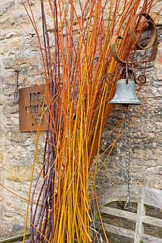 COMMON_FARM_FLOWERS_SOMERSET_COPPICED_STEMS_OF_CORAL_AND_GOLDEN_WILLOW_READY_FOR_WREATHMAKING