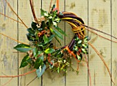 COMMON FARM FLOWERS. SOMERSET: TRICOLOUR WILLOW WREATH; MADE FROM BRITISH GROWN SALIX INCLUDING CORAL BARK AND GOLDEN WILLOW