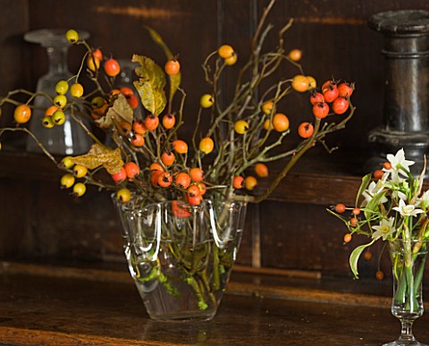 COMMON_FARM_FLOWERS_SOMERSET_GLASS_VASE_OF_MIXED_ROSEHIPS_SHERRY_GLASS_ARRANGEMENT_BERRIED_HOLLY__IL