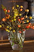 COMMON FARM FLOWERS. SOMERSET: NATURAL DISPLAY OF MIXED ROSEHIPS FROM THE GARDEN AND THE HEDGEROW IN GLASS VASE. WINTER ARRANGEMENT.