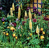 INFORMAL PLANTING OF ALLIUMS  LUPINS AND IRISES. CHELSEA 1993. NATIONAL ASTHMA CAMPAIGN GARDEN. DESIGNER LUCY HUNTINGTON