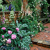AN ENGLISH COTTAGE GARDEN: HERRINGBONE BRICK STEPS LEAD TO SEAT SURROUNDED BY CLIMBNG WHITE ROSES AND FOXGLOVES IN THE COUNTRY LIVING GARDEN. CHELSEA 1993