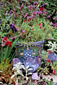 MOSAIC CONTAINER PLANTED WITH LAVENDER. CHELSEA 1993. EVENING STANDARD GARDEN. DESIGNER: DANIEL PEARSON