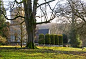 COLESBOURNE PARK  GLOUCESTERSHIRE: WOODLAND AND THE CHURCH