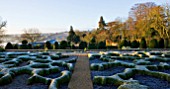 BROUGHTON GRANGE, OXFORDSHIRE: DESIGNER TOM STUART - SMITH: CLIPPED TOPIARY BOX HEDGES IN FROST. PARTERRE. WINTER, COUNTRY GARDEN, TRIMMED, BUXUS SEMPERVIRENS, EVERGREEN