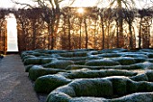 BROUGHTON GRANGE, OXFORDSHIRE: DESIGNER TOM STUART - SMITH: CLIPPED TOPIARY BOX HEDGES IN FROST WITH BEECH HEDGE. PARTERRE. WINTER, COUNTRY GARDEN, TRIMMED, HEDGING, MOUND, DAWN