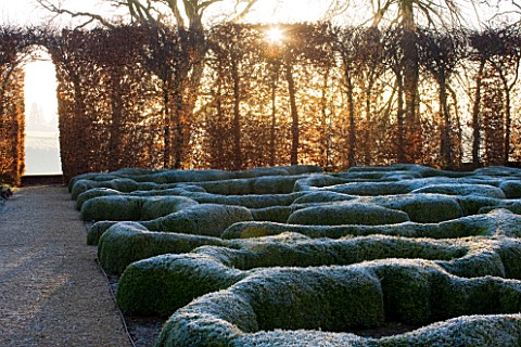 BROUGHTON_GRANGE_OXFORDSHIRE_DESIGNER_TOM_STUART__SMITH_CLIPPED_TOPIARY_BOX_HEDGES_IN_FROST_WITH_BEE