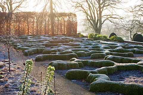 BROUGHTON_GRANGE_OXFORDSHIRE_DESIGNER_TOM_STUART__SMITH_CLIPPED_TOPIARY_BOX_HEDGES_IN_FROST_WITH_BEE