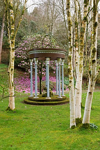 MARWOOD_HILL__DEVON_BIRCH_TREES_AND_PAGODA_WITH_RHODODENDRON_SUTCHUENENSE_BEHIND