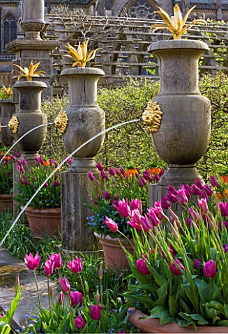 ARUNDEL_CASTLE_GARDENS__WEST_SUSSEX_THE_COLLECTOR_EARLS_GARDEN__FOUNTAINS_AND_CONTAINERS_WITH_TULIP_