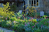 GRAVETYE MANOR  SUSSEX: EARLY MORNING SPRING LIGHT ON BORDER WITHG TULIPS AND FORGET-ME-NOTS