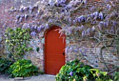 ARUNDEL CASTLE GARDENS  WEST SUSSEX: THE COLLECTOR EARLS GARDEN: WISTERIA SINENSIS ON THE WALL WITH RED DOOR