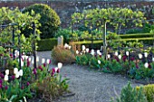 ARUNDEL CASTLE GARDENS  WEST SUSSEX::THE VEGETABLE GARDEN WITH TULIPS AND STEP OVER APPLES