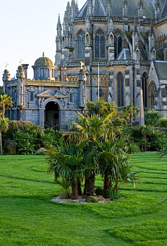 ARUNDEL_CASTLE_GARDENS__WEST_SUSSEX_TRACHYCAROUS_FORTUNEI_ON_THE_LAWN___DESIGNED_BY_JULIAN_AND_ISABE