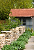 ARALIA GARDEN DESIGN - PATRICIA FOX: WEDNESDAY HOUSE: STONE WALLS WITH STACHYS AND POOL HOUSE