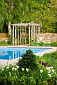 ARALIA GARDEN DESIGN - PATRICIA FOX: WEDNESDAY HOUSE: SPRING GREEN TULIPS IN BED BESIDE SWIMMING POOL WITH WOODEN PERGOLA