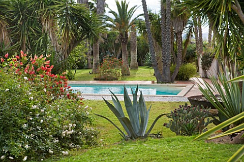 SICILY__ITALY_LA_CASE_BIVIERE_NEAR_LENTINI__VIEW_TO_THE_POOL_WITH_AGAVE__ROSA_FORTUNIANA_IN_FOREGROU