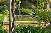 SICILY  ITALY: SAN GIULIANO ESTATE: A RAISED REFLECTING POOL CREATED BY RACHEL LAMB IN THE ARABIC GARDEN LUSH WITH SURROUNDING VEGETATION. AGAPNTHUS AND TREE FERN - CYATHEA AUSTRALIS