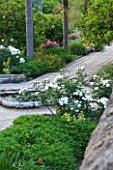 SICILY  ITALY: SAN GIULIANO ESTATE: THE ARABIC GARDEN IS UNDERPLANTED WITH FLOWERS WHICH LINE THE INTRICATE TILED PATHWAYS; WHITE ROSA PROSPERITY, PINK ROSA DEBORAH AND NASTURTIUMS