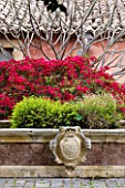 SICILY  ITALY: SAN GIULIANO ESTATE: THE FOUNTAIN TERRACE: THE FOUNTAIN DECORATED WITH THE FAMILY COAT OF ARMS AND BOUGAINVILLEA