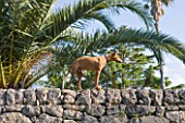 SICILY  ITALY: SAN GIULIANO ESTATE: CANARY ISLAND DATE PALM - PHOENIX CANARIENSIS, BEHIND THE DRYSTONE GARDEN WALL, WITH WATCHFUL FAMILY DOG FIUME - AN ITALIAN BREED CIRNECO DELL’ETNA