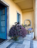 SICILY  ITALY: CASA CUSENI IN TAORMINA - MARBLE TERRACE WITH CONTAINER BY DOOR PLANTED WITH
