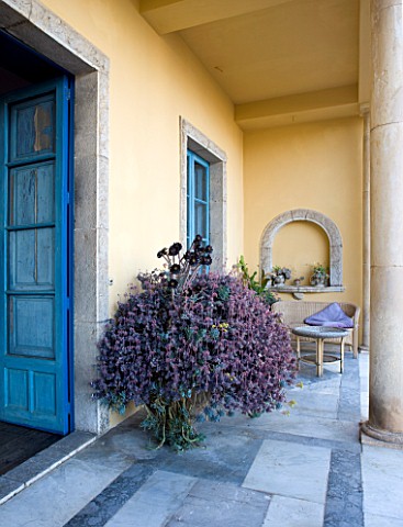 SICILY__ITALY_CASA_CUSENI_IN_TAORMINA__MARBLE_TERRACE_WITH_CONTAINER_BY_DOOR_PLANTED_WITH