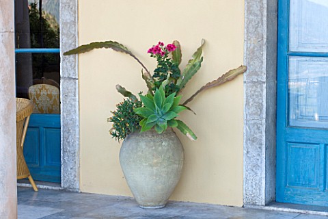 SICILY_ITALY_CASA_CUSENI_IN_TAORMINA_SUCCULENTS_IN_A_TERRACOTTA_CONTAINER_CONTAINERS_JAR_GREEN_PLANT